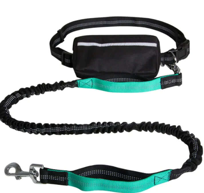 Hands-Free Adjustable Dog Leash with Waist Pouch