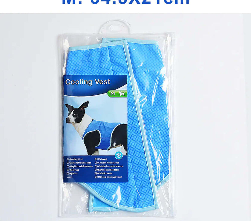 Cooling Vest for Dogs – Summer Comfort Edition