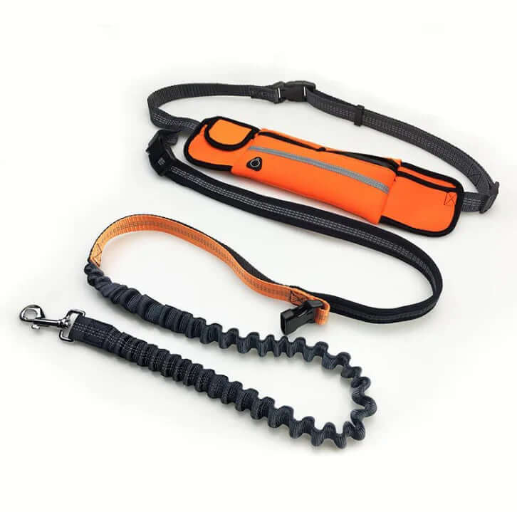Hands-Free Running Dog Leash – Shock Absorbing Bungee