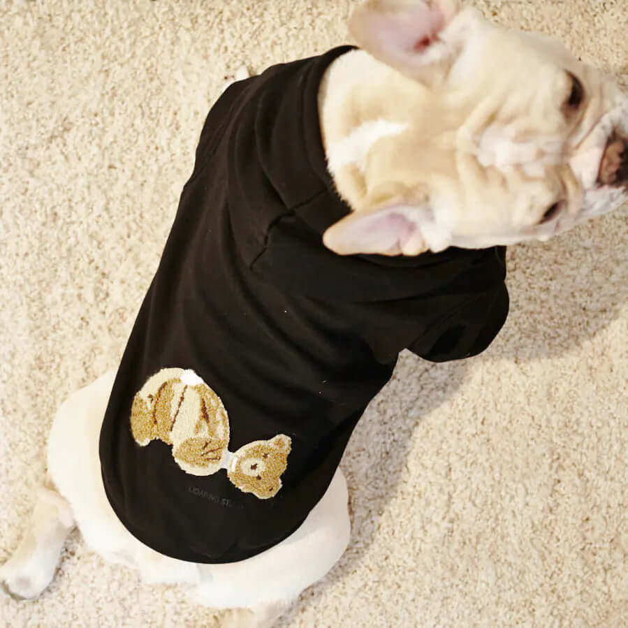 “Matching Bear Hoodie for Dogs and Owners – Winter Warmth Edition